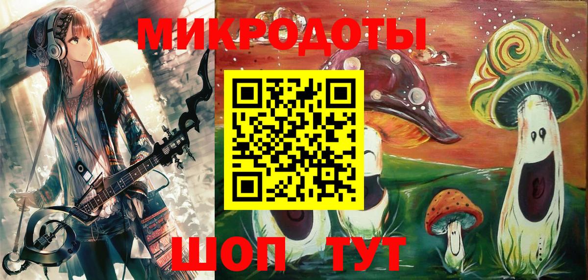 Славгород  Галлюциногенные грибы Psilocybe  Вход с VPN 
