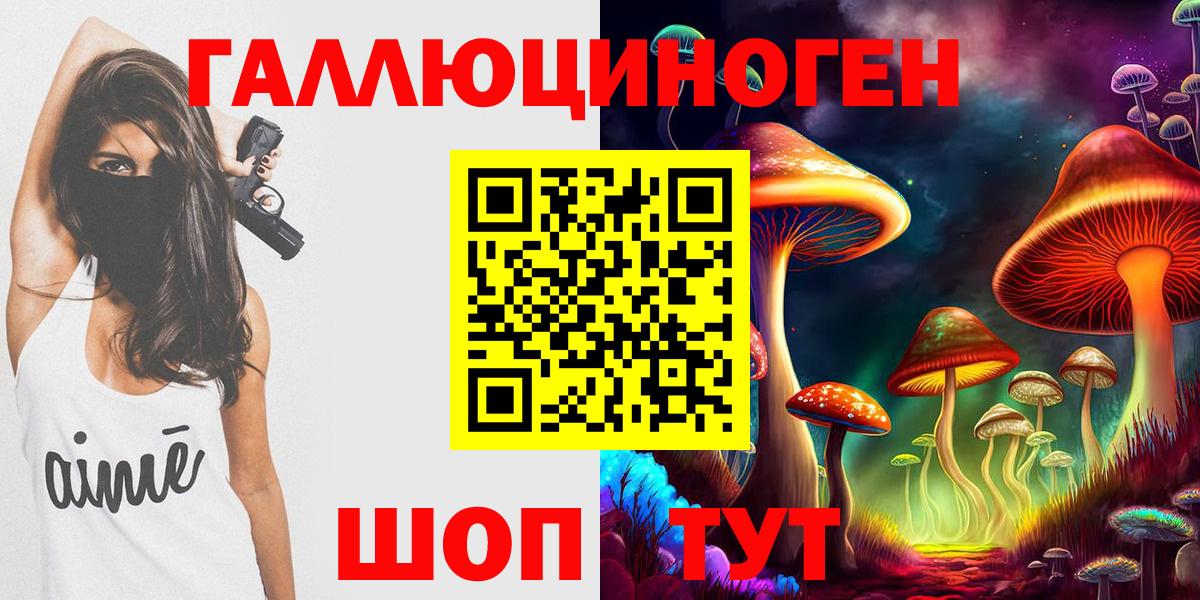 Псилоцибиновые грибы Cubensis Славгород