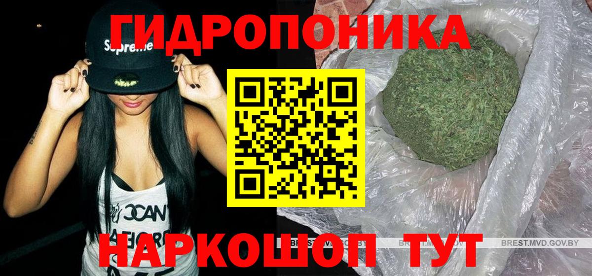 Бошки Шишки конопля Славгород